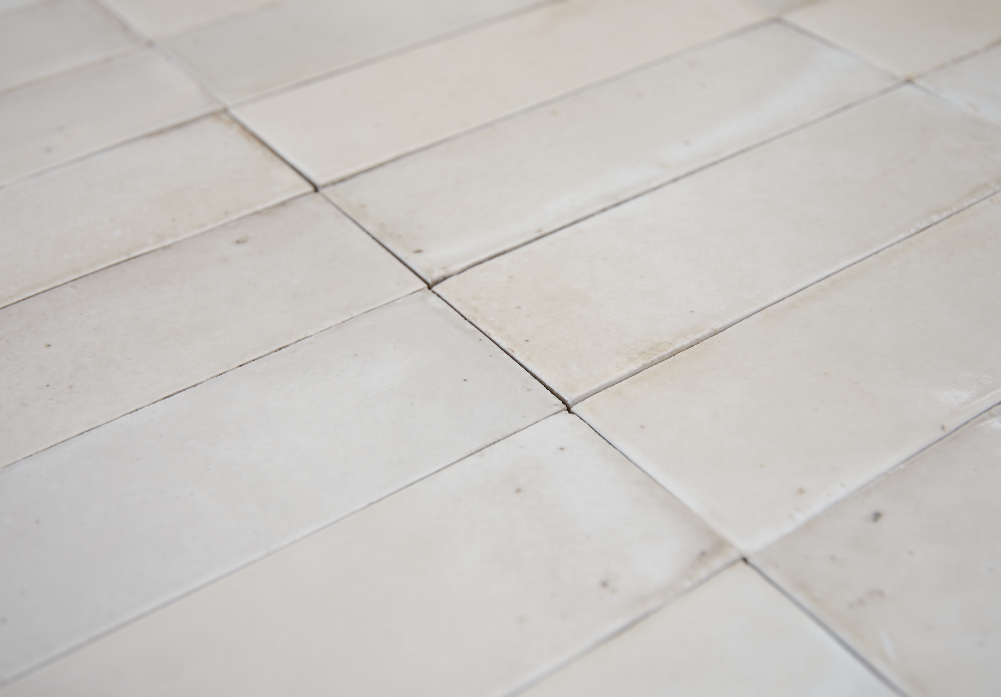 Zingaro Natural Porcelain | Floors of Stone