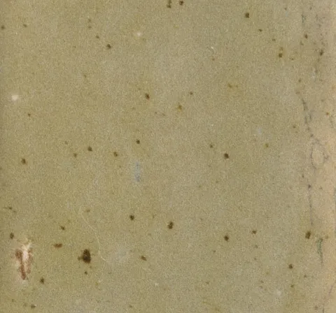 Enza hazel porcelain sample