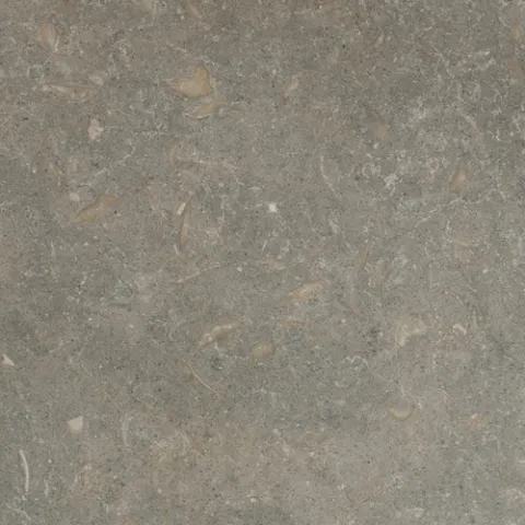 Seagrass tumbled limestone sample