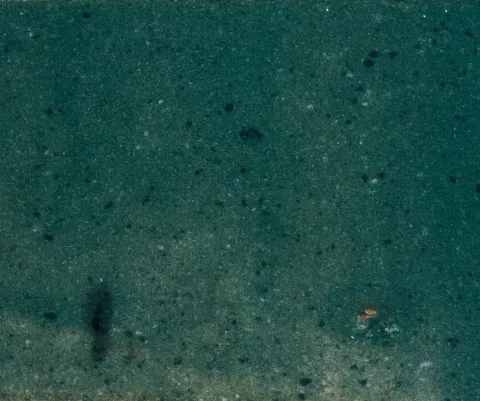 Enza verde porcelain sample